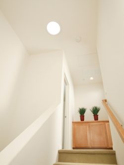 Escalier moderne avec rampe en bois clair et plantes en pot